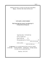 Một số giải pháp làm công tác chủ nhiệm lớp 5 ở trường tiểu học hương lộc 