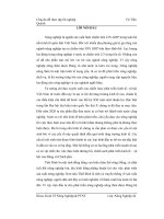 Chuyên đề thực trạng và giải pháp về đầu tư và sử dụng vốn cho cơ sở hạ tầng nông nghiệp nông thôn thái bình