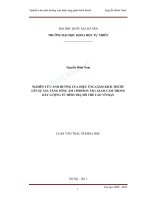 Nghiên cứu ảnh hưởng của hiệu ứng giảm kích thước lên sự gia tăng sóng âm (phonon âm) giam cầm trong dây lượng tử hình trụ hố thế cao vô hạn 
