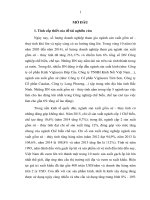 Tiểu luận nâng cao hiệu quả quản trị tài chính trong các doanh nghiệp sản xuất gốm sứ thủy tinh trên địa bàn tỉnh bắc ninh 