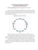 Quy trình dự án đầu tư 