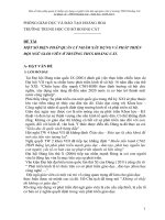 skkn một số biện pháp quản lý nhằm xây dựng và phát triển đội ngũ giáo viên ở  trường THCS hoằng cát  huyện hoằng hoá 