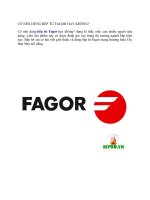 Có nên dùng  bếp từ Fagor  hay không?