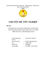 GIẢI PHÁP NÂNG CAO CHẤT LƯỢNG CHO VAY TIÊU DÙNG  TẠI NGÂN HÀNG THƯƠNG MẠI CỔ PHẦN  ĐẦU TƯ VÀ PHÁT TRIỂN VIÊT NAM – CHI NHÁNH BẮC GIANG