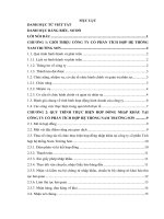 Tổ chức thực hiện hợp đồng nhập khẩu tại công ty cổ phần tích hợp hệ thống nam trường sơn