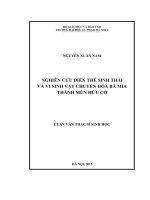 Nghiên cứu diễn thế sinh thái và vi sinh vật chuyển hóa bã mía thành mùn hữu cơ 