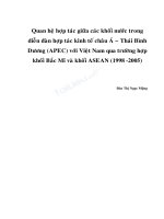 Quan hệ hợp tác giữa các khối nước trong diễn đàn hợp tác kinh tế châu á   thái bình dương (APEC) với việt nam qua trường hợp khối bắc mĩ và khối ASEAN (1998   2005) 