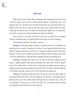 Phương pháp tìm nghiệm nguyên của hệ phương trình tuyến tính