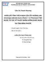 Khảo sát tính thích nghi của cây hoàng lan cananga odorata (lam ) hook  f  et thomson tạo được từ các kỹ thuật nhân giống khác nhau tại tỉnh bình phước 