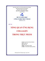 Đồ án tổng quan ứng dụng collagen trong thực phẩm