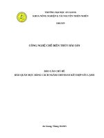BÁO cáo CHỦ đề bảo QUẢN mực BẰNG CÁCH NGÂM CHITOSAN kết hợp sấy LẠNH