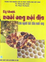EBOOK kỹ THUẬT NUÔI ONG nội địa   NXB LAO ĐỘNG xã hội 