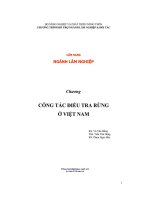 CẨM NANG NGÀNH lâm NGHIỆP   CÔNG tác điều TRA RỪNG ở VIỆT NAM 