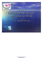 BÀI GIẢNG HÌNH DẠNG và các cơ QUAN bên NGOÀI cơ THỂ cá 