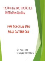 Phân tích ca lâm sàng số 43 ca trầm cảm