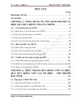 MỘT SỐ GIẢI PHÁP NHẰM NÂNG CAO HIỆU QUẢ HUY ĐỘNG VỐN TẠI NGÂN HÀNG ĐẦU TƯ VÀ PHÁT TRIỂN VIỆT NAM CHI NHÁNH BẮC NINH