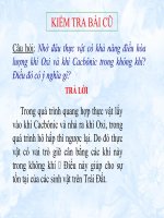 Bai 47 thuc vat bao ve dat va nguon nuoc DA SUA 2016