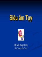 Hướng dẫn siêu âm tụy PDF