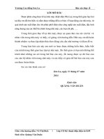 Nghiên cứu quá trinh chuyển đổi các chế độ làm việc của máy phát trong nhà máy nhiệt điện phả lại