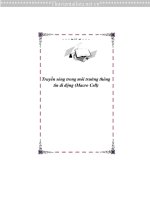 BÀI GIẢNG TRUYỀN SÓNG TRONG môi TRƯỜNG THÔNG TIN (MACRROCELL) 