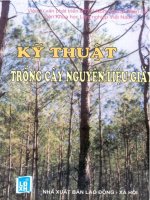 EBOOK kỹ THUẬT TRỒNG cây làm NGUYÊN LIỆU GIẤY   NXB LAO ĐỘNG xã hội 