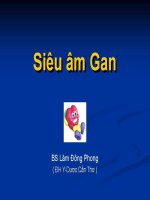 Hướng dẫn siêu âm gan PDF