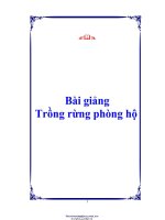 BÀI GIẢNG TRỒNG RỪNG PHÒNG hộ 