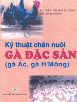 EBOOK kỹ THUẬT CHĂN NUÔI gà đặc sản ( gà ác, gà h MÔNG)   NXB NÔNG NGHIỆP 
