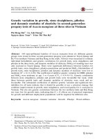 Genetic variation in growth, stem straightness, pilodyn and dynamic modulus of elasticity in secondgeneration progeny tests of Acacia mangium at three sites in Vietnam