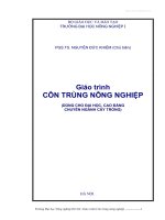 GIÁO TRÌNH côn TRÙNG NÔNG NGHIỆP   PGS TS NGUYỄN đức KHIÊM 