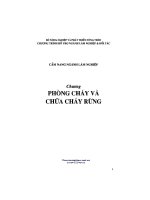 CẨM NANG NGÀNH lâm NGHIỆP   PHÒNG CHÁY và CHỮA CHÁY RỪNG