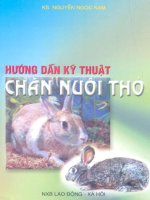 EBOOK HƯỚNG dẫn kỹ THUẬT CHĂN NUÔI THỎ   KS  NGUYỄN NGỌC NAM 