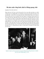 86 mùa xuân vững bước dưới cờ đảng quang vinh 1 của tỉnh bình dương