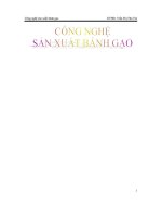Công nghệ sản xuất bánh gạo
