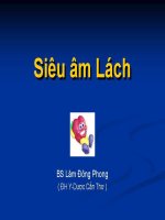 Hướng dẫn siêu âm lách PDF