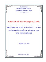 Đánh giá hiệu quả kinh tế của cây lạc tại phường hương chữ, thị xã hương trà, tỉnh thừa thiên huế