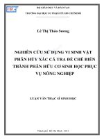Nghiên cứu sử dụng vi sinh vật phân hủy xác cá tra để chế biến thành phân hữu cơ sinh học phục vụ nông nghiệp 