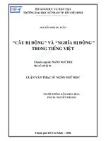 Câu bị động và nghĩa bị động trong tiếng việt 