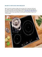 MUA bếp từ CHEFS ở đâu CHÍNH HÃNG GIÁ rẻ