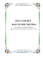 Cam kết bảo vệ môi trường của khách sạn Sài Gòn Hải Đăng