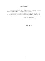 Phát triển thị trường dịch vụ FTTH của VNPT thừa thiên huế