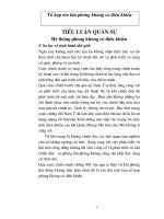 Tiểu luận quan sự hệ thống phòng không có điều khiển 