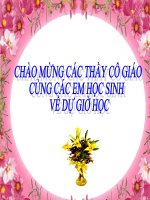 bài giảng tích hợp liên môn toán 9 chủ đề GIẢI bài TOÁN BẰNG CÁCH lập PHƯƠNG TRÌNH – hệ PHƯƠNG TRÌNH 