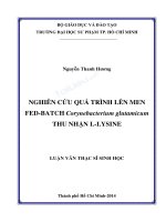 Nghiên cứu quá trình lên men FED BATCH corynebacterium glutamicum thu nhận l lysine 
