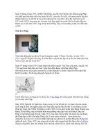 TIỂU LUẬN CUỘC ĐỜI CỦA HỒ CHÍ MÍNH, LỊCH SỬ DẢNG