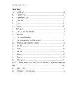 tiểu luận địa lý kinh tế  việt nam có nhiều nguồn lực tự nhiên đẻ phát triển các ngành công nghiệp