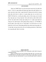 Tiểu luận quân sự các phương tiện tiến công đường không hiện đại