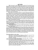 Tiêu rluaanj quân sự pháo phòng không