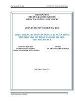 THỰC TRẠNG rủi RO tín DỤNG tại NGÂN HÀNG THƯƠNG mại cổ PHẦN sài gòn hà nội  CHI NHÁNH HUẾ