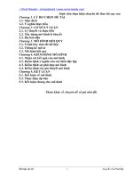 Mẫu chuyên đề kinh tế lượng